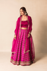 Deep pink lehenga set with organza dupatta