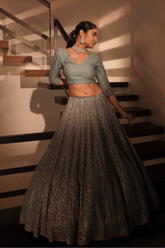 Grey net lehenga with silk blouse and organza dupatta