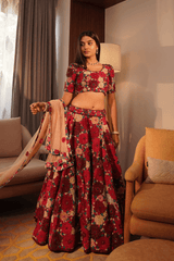 Multicolor silk velvet lehenga with soft net dupatta