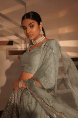 Grey net  lehenga with silk blouse and organza dupatta