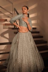Grey net  lehenga with silk blouse and organza dupatta