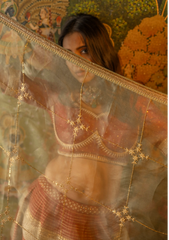 Rich rust lehenga  with contrasting dupatta