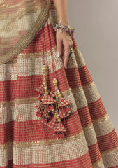 Rich rust lehenga  with contrasting dupatta